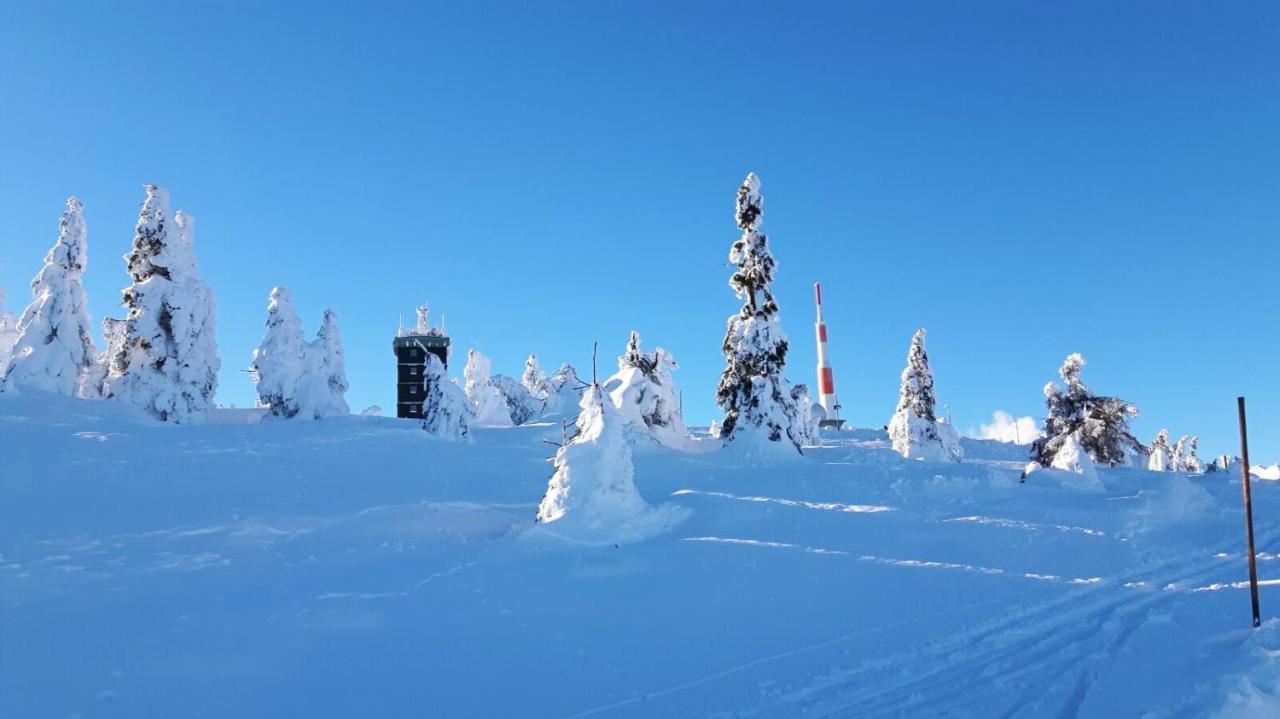 Hotel Zur Schmiede Альтенау Экстерьер фото